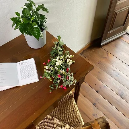 Hotel Alatinos Pinakátai